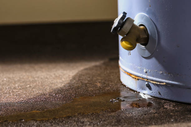 Best Flood damage cleanup  in Dover, DE