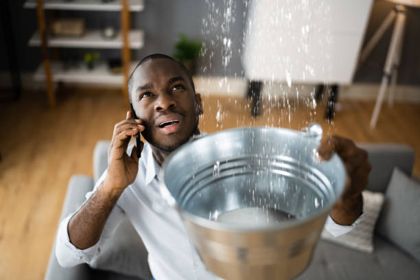 Best Sewage cleanup and water damage restoration  in Dover, DE