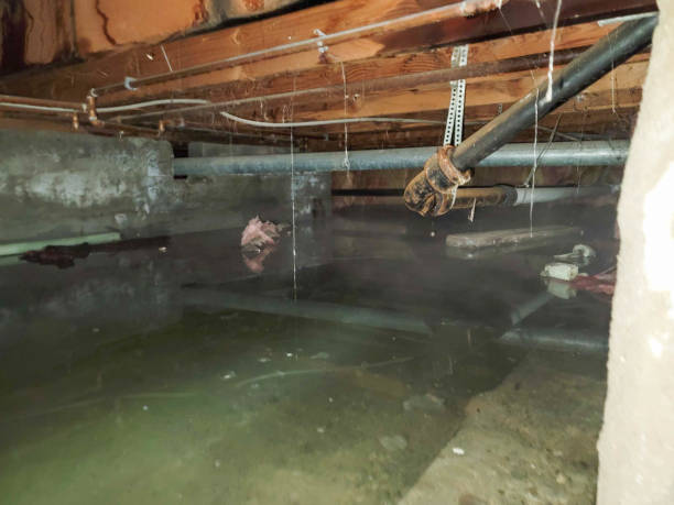 Water damage restoration process in DE