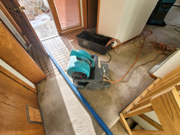 Trusted DE Water damage restoration Experts