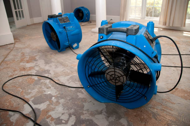 Best Water damage repair service  in Dover, DE