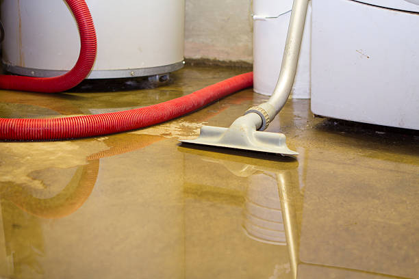 Best 24/7 water damage repair  in Dover, DE