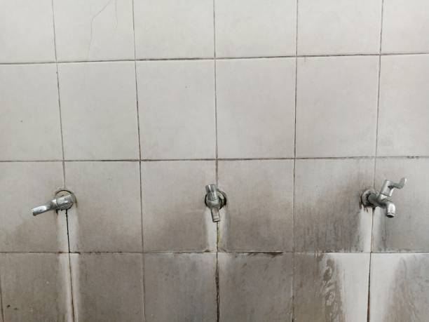 Best Commercial water damage restoration  in Dover, DE