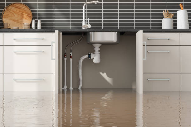 Best Ceiling water damage repair  in Dover, DE