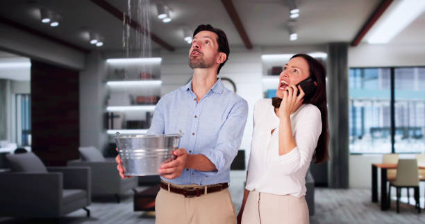 Best Water damage contractors near me  in Dover, DE