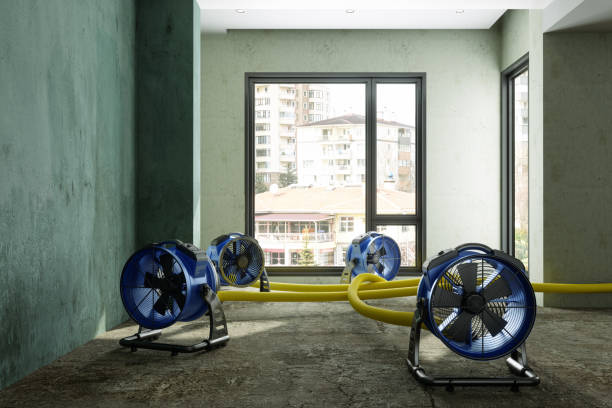 Best 24-hour water damage restoration  in Dover, DE